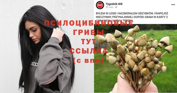 герыч Зерноград